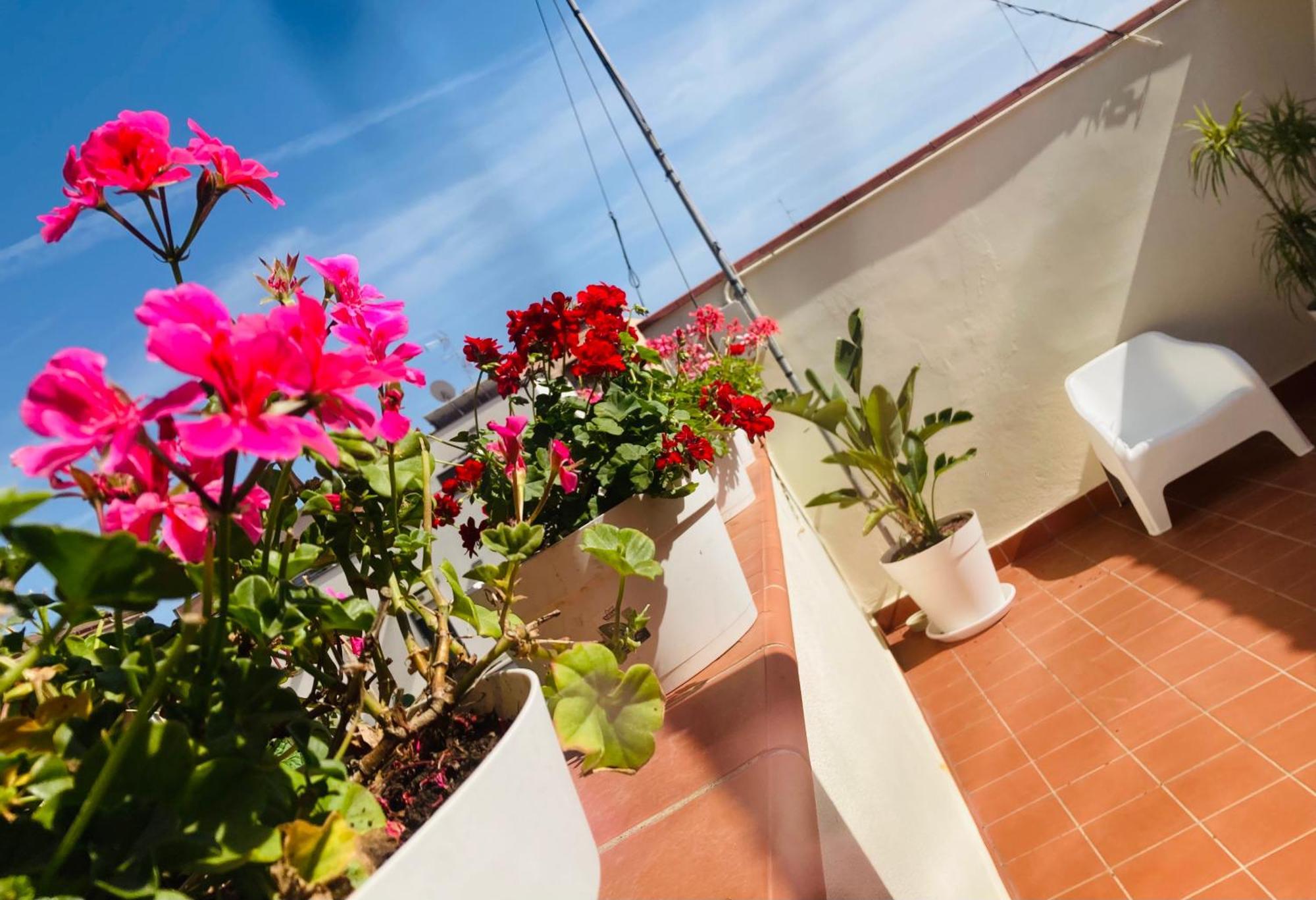 Lavica Di Mezzo Apartments Катания Экстерьер фото